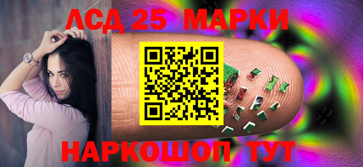Псилоцибиновые грибы Шахты