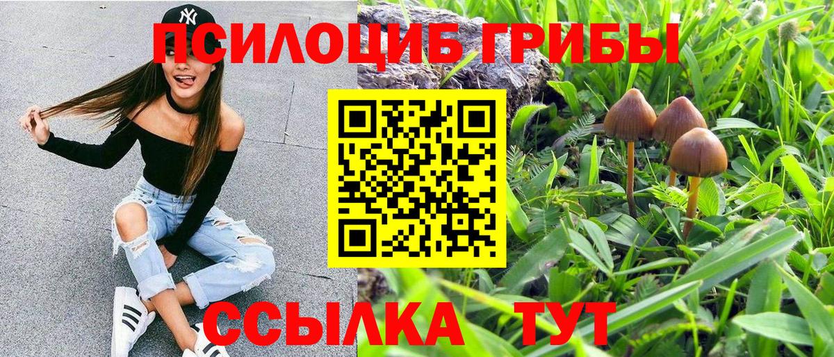 Конопля  А ПВП СК   Вейп ТГК  COCAIN  МЕТАМФЕТАМИН  МЕТАДОН  Шахты  Меф кристаллы  Как найти закладки?  Вход с VPN 
