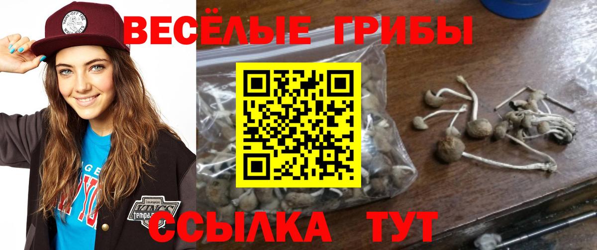Псилоцибиновые грибы Magic Shrooms Шахты