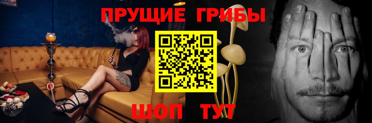 Шахты  Псилоцибиновые грибы прущие грибы  Вход с VPN 